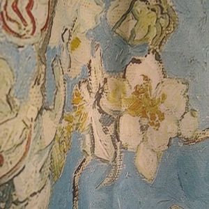 Van Gogh Shower Curtain 🚿